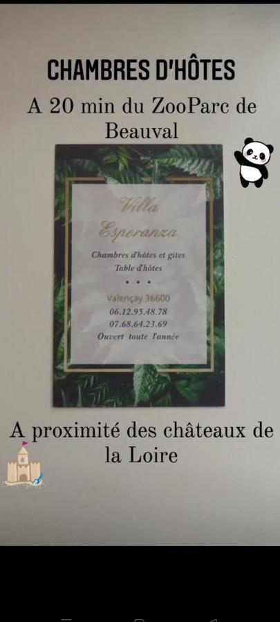 Villa Esperanza Chambre De Plain-Pied, Independante, Proche Zoo De Beauval Et Chateaux De La Loire Валансе Экстерьер фото