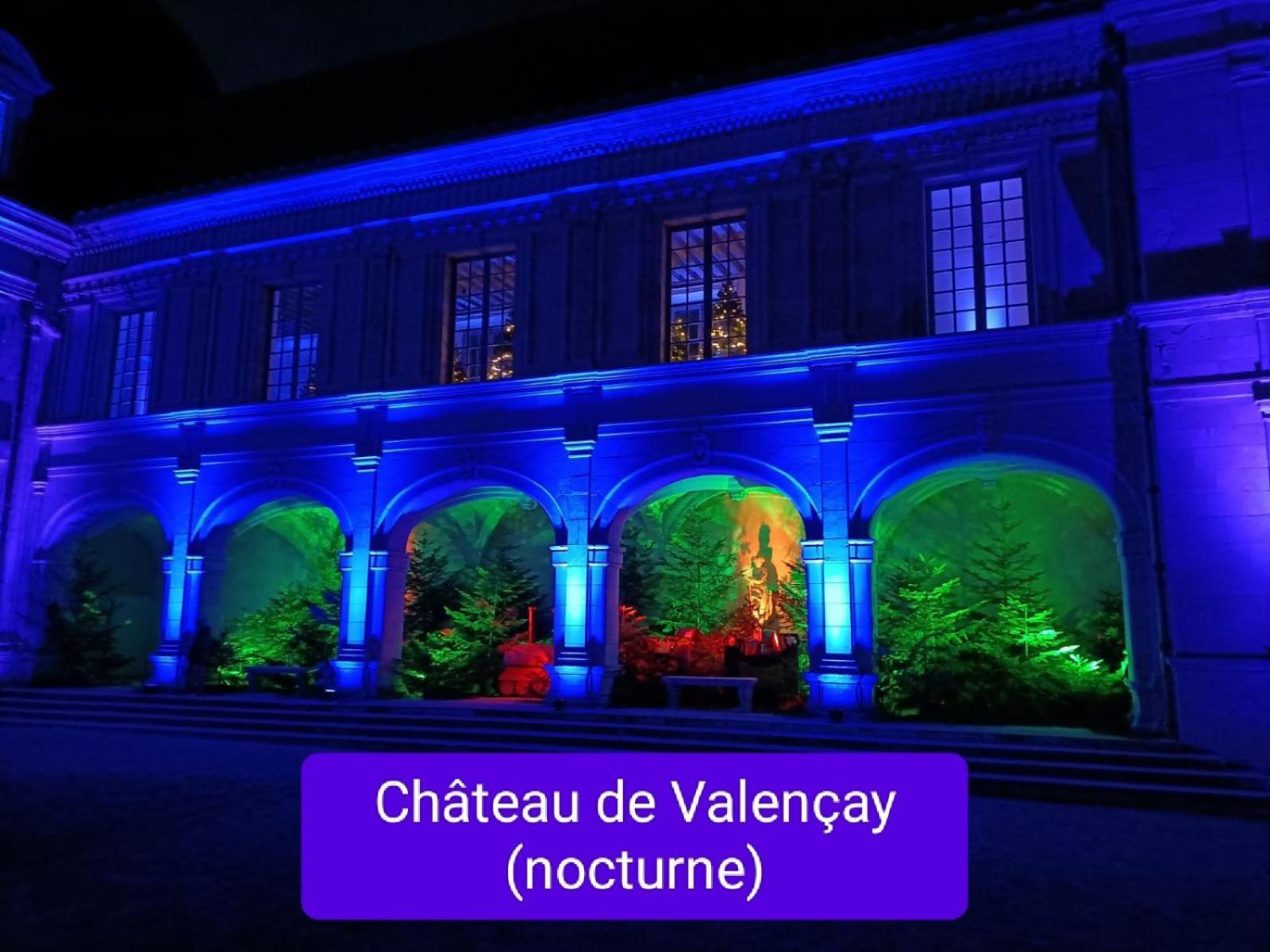 Villa Esperanza Chambre De Plain-Pied, Independante, Proche Zoo De Beauval Et Chateaux De La Loire Валансе Экстерьер фото